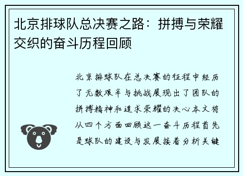 北京排球队总决赛之路：拼搏与荣耀交织的奋斗历程回顾