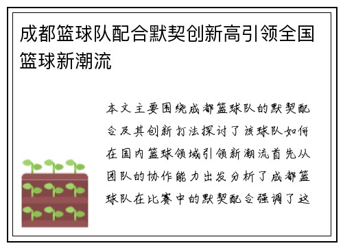 成都篮球队配合默契创新高引领全国篮球新潮流
