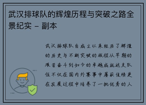 武汉排球队的辉煌历程与突破之路全景纪实 - 副本