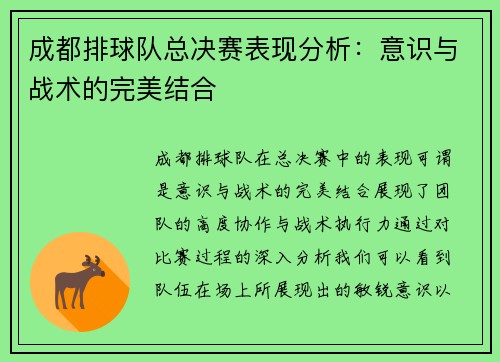 成都排球队总决赛表现分析：意识与战术的完美结合